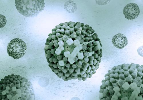 Several influenza viruses