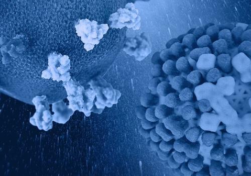 SARS-CoV-2 and influenza viruses