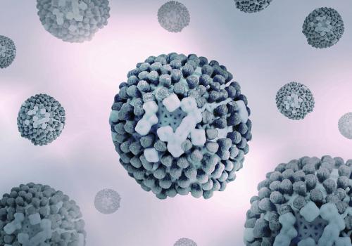 Flu viruses