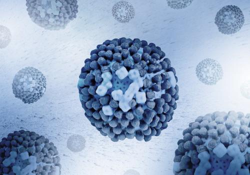 Flu viruses