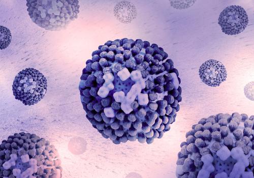 Flu viruses