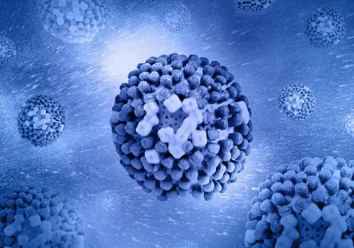 Flu viruses