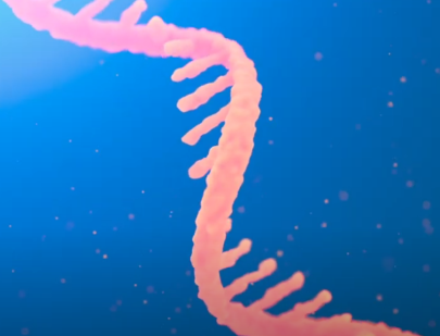 An illustration of RNA